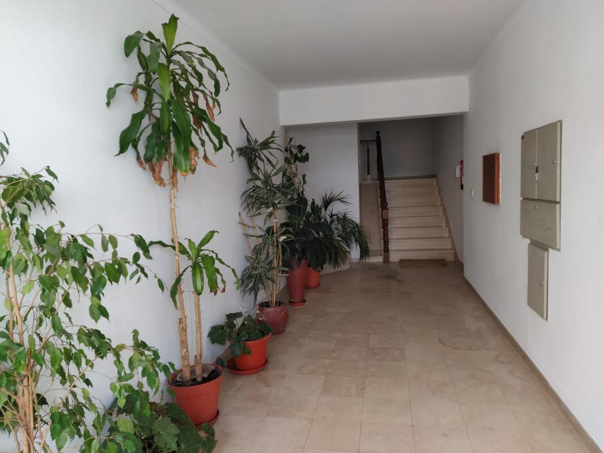Apartamentos Bau-Doce Cercal do Alentejo Exterior photo
